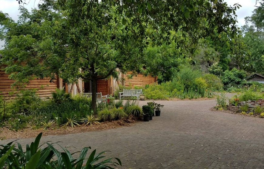Coastal Plain Research Arboretum, United States